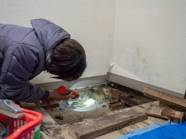 Best Mold Documentation for Insurance Claims  in West Lawn, PA