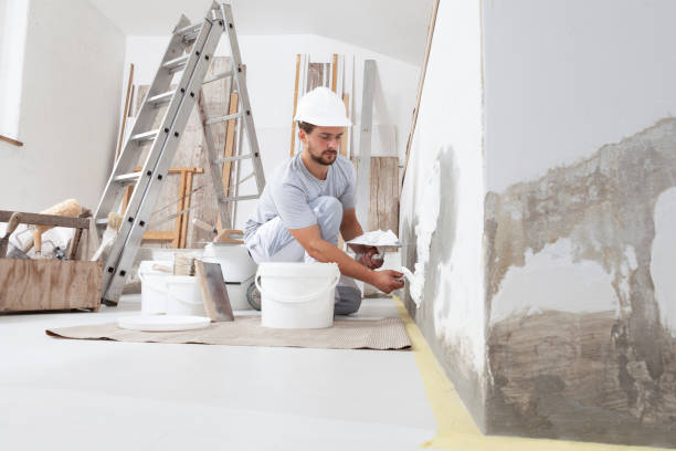 Professional Mold Removal in West Lawn, PA
